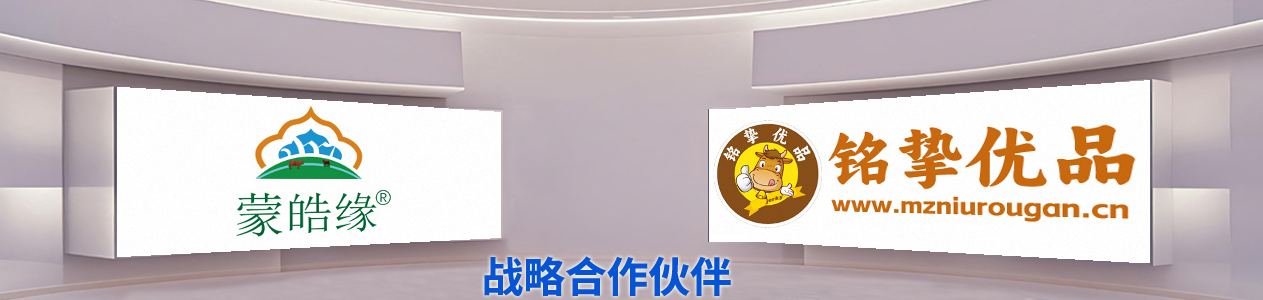 蒙皓缘牛肉干品牌